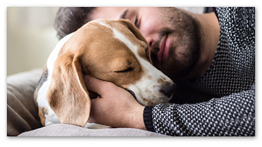 İnsanların Stresli Olmasının Köpeklerin Duygularını Kötü Etkilediği Ortaya Çıktı