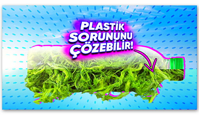 Basit Bir Yosun, Dünyanın En Büyük Sorunu Olan Plastiklerin Yerini Alabilir! (İyi de Nasıl?)