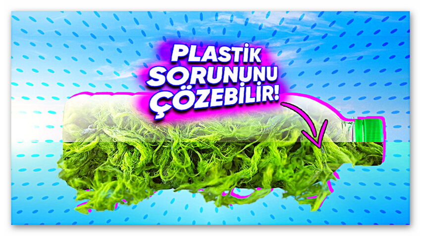 Basit Bir Yosun, Dünyanın En Büyük Sorunu Olan Plastiklerin Yerini Alabilir! (İyi de Nasıl?)