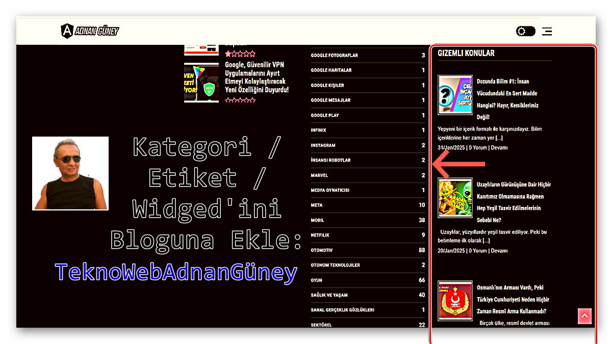 kategori-etiket-widgetini-bloguna-ekle-teknowebadnanguney